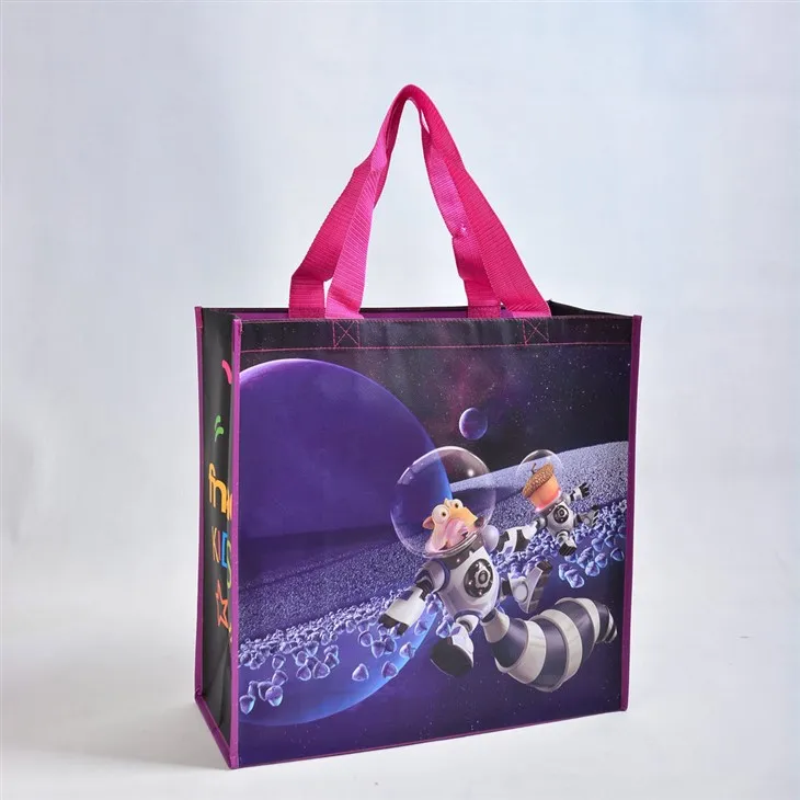 Bossa ShopperTote de pressupost no teixit